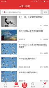 搜鸽天下