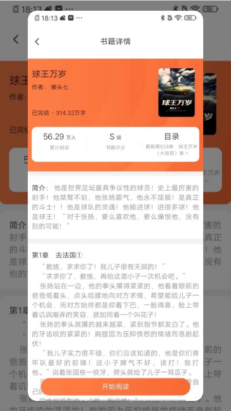 星晨小说