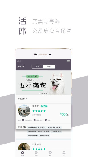 爱喂养
