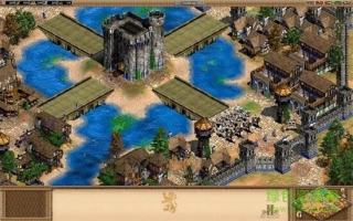 帝国时代4箭塔  v1.12.7图2