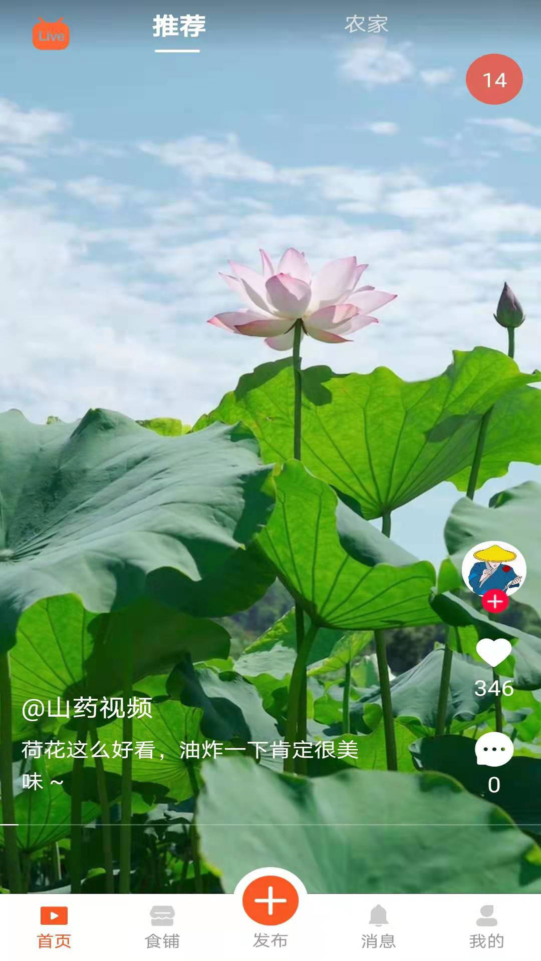 食客江湖app