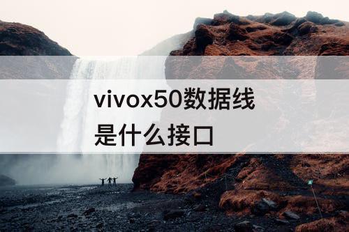vivox50数据线是什么接口