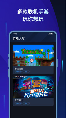 蒲公英联机平台2.43
