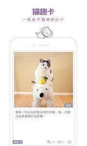 一日猫  v2.4.7图2