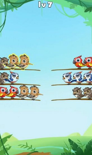 百鸟齐飞2024  v1.0.1图1