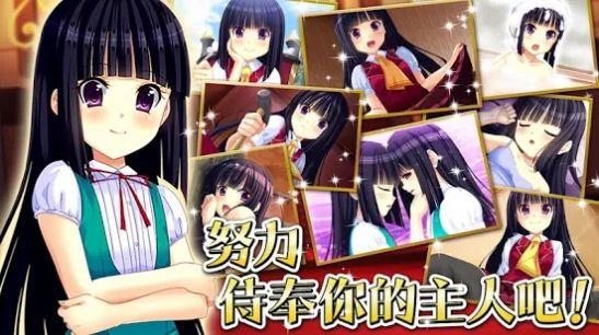 绝对君主小夜大人安卓版  v0.0.1图3