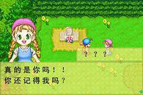牧场物语橄榄镇与希望的大地体力值  v1.2图2