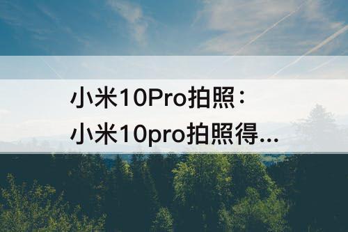 小米10Pro拍照：小米10pro拍照得分