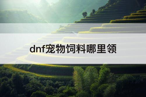 dnf宠物饲料哪里领
