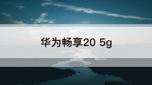 华为畅享20 5g
