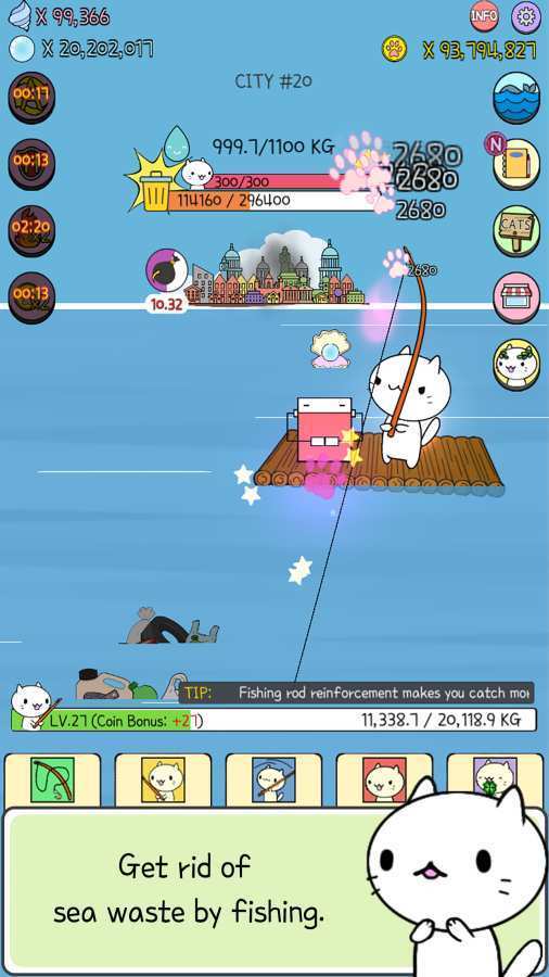 水族猫2024