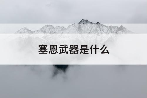 塞恩武器是什么