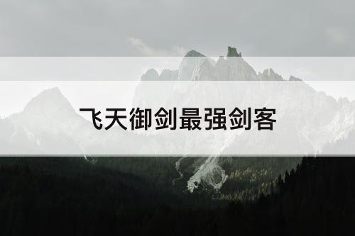 飞天御剑最强剑客