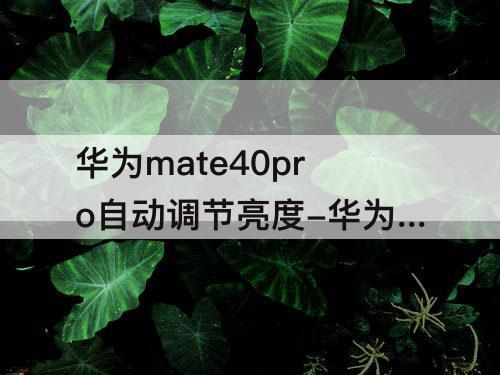 华为mate40pro自动调节亮度-华为mate40pro自动调节亮度不见了